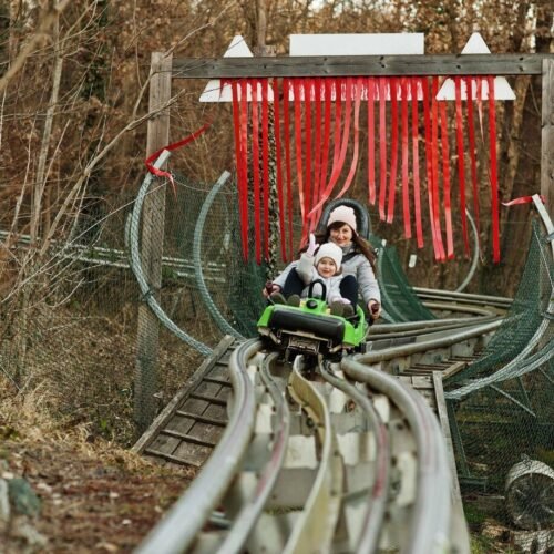 Freefall Rides